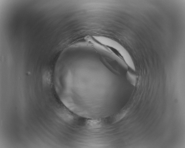 X0000073850139200608312010