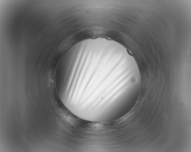 X0000073850140200608312010