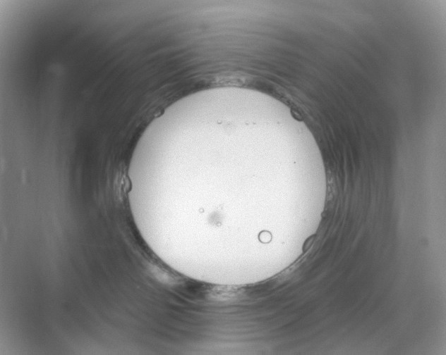 X0000073850142200608312010