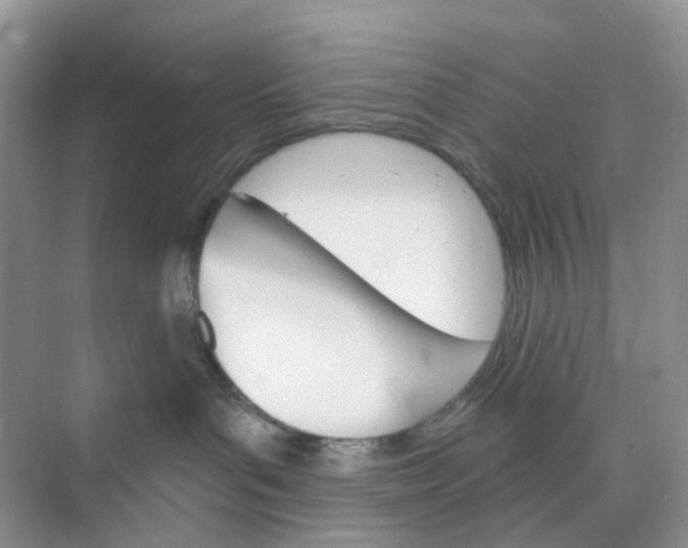 X0000073850143200608312010