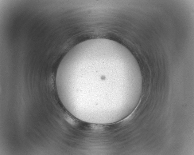 X0000073850144200608312010