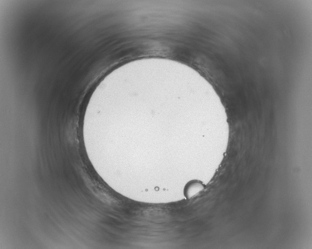 X0000073850146200608312009