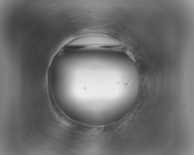 X0000073850148200608312009