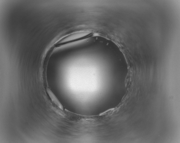 X0000073850150200608312009