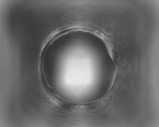 X0000073850152200608312009