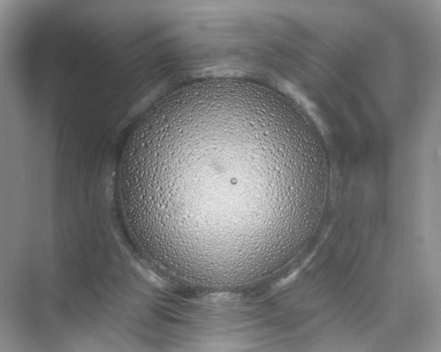 X0000073850153200608312009