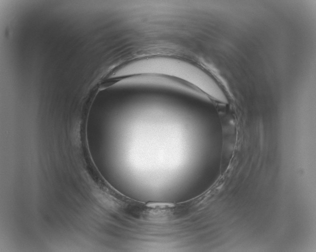 X0000073850154200608312009