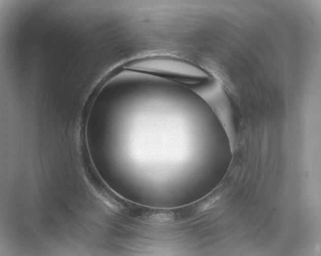 X0000073850156200608312010