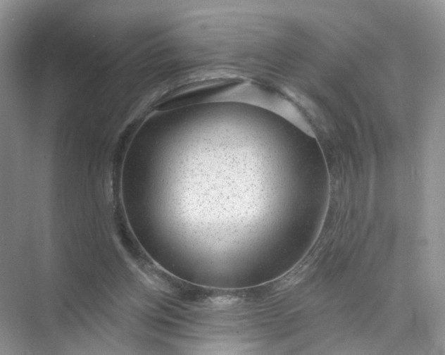 X0000073850158200608312010