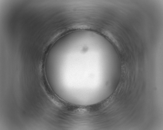 X0000073850159200608312010