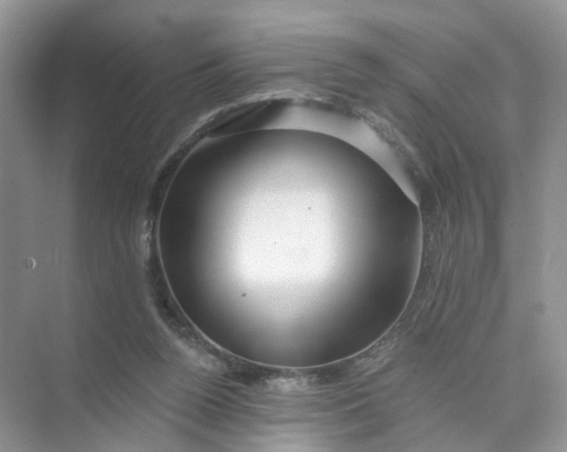 X0000073850160200608312010