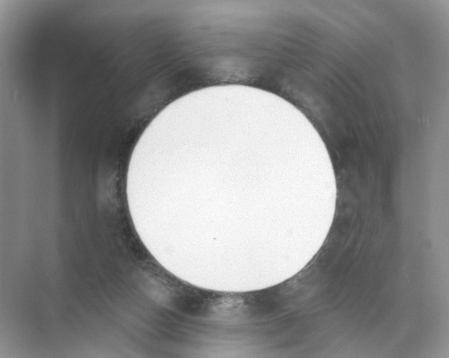 X0000073850162200608312010