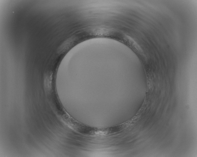 X0000073850163200608312010