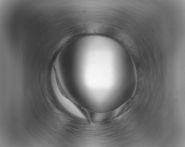 X0000073850164200608312010