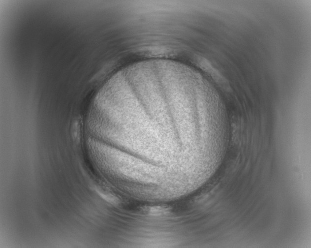 X0000073850165200608312010