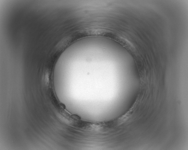 X0000073850166200608312010