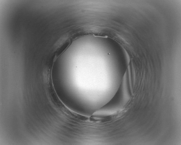 X0000073850168200608312010