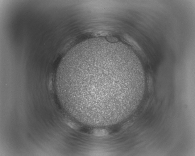 X0000073850169200608312010