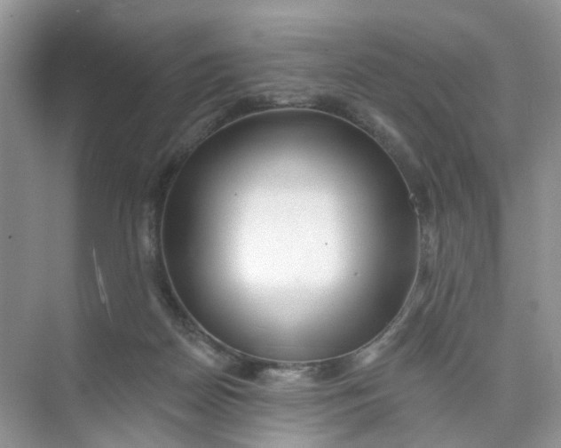 X0000073850170200608312010