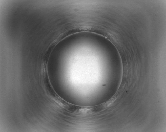 X0000073850172200608312010