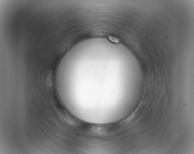 X0000073850174200608312010