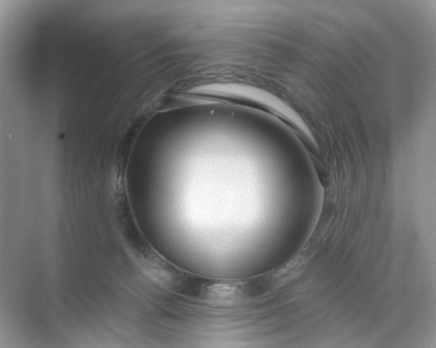 X0000073850176200608312010