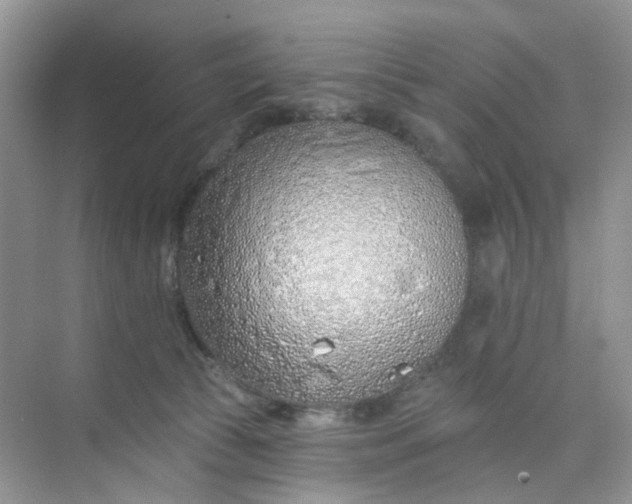 X0000073850177200608312010