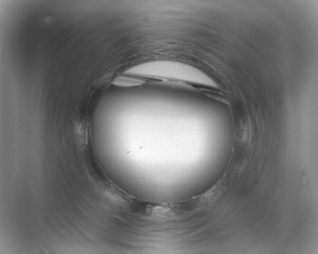 X0000073850180200608312010