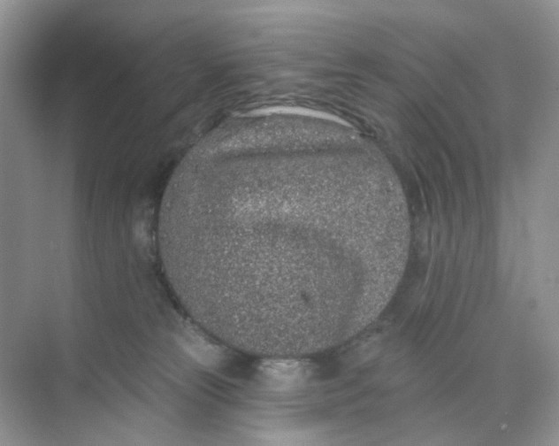 X0000073850181200608312010