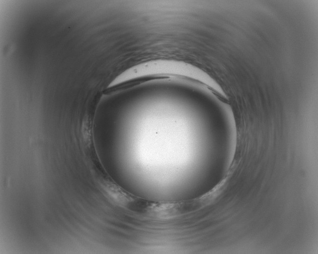 X0000073850186200608312010