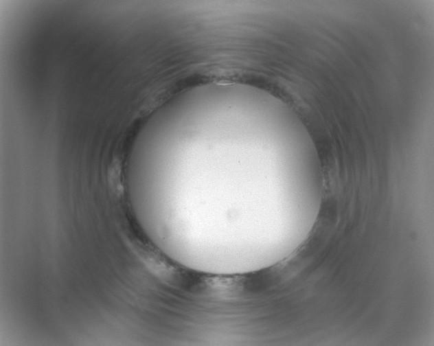 X0000073850187200608312010