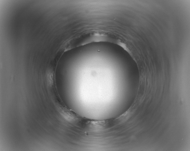 X0000073850188200608312010