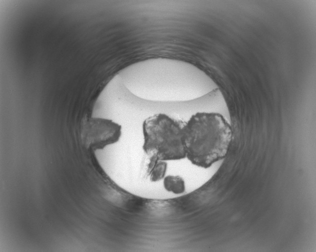 X0000073850189200608312010