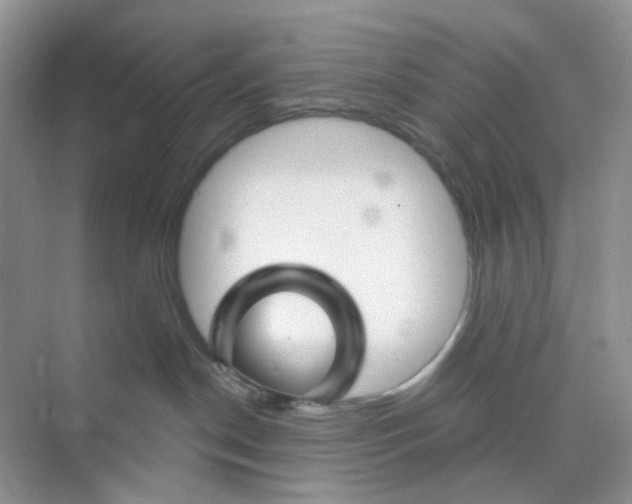 X0000073850190200608312010