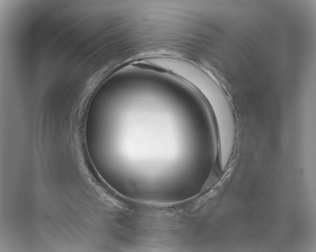 X0000073850193200608312009