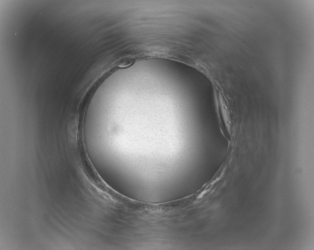 X0000073850194200608312009