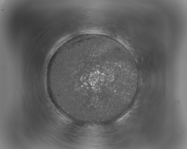 X0000073850199200608312009