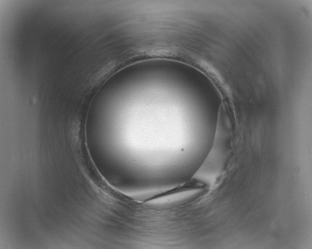 X0000073850201200608312009