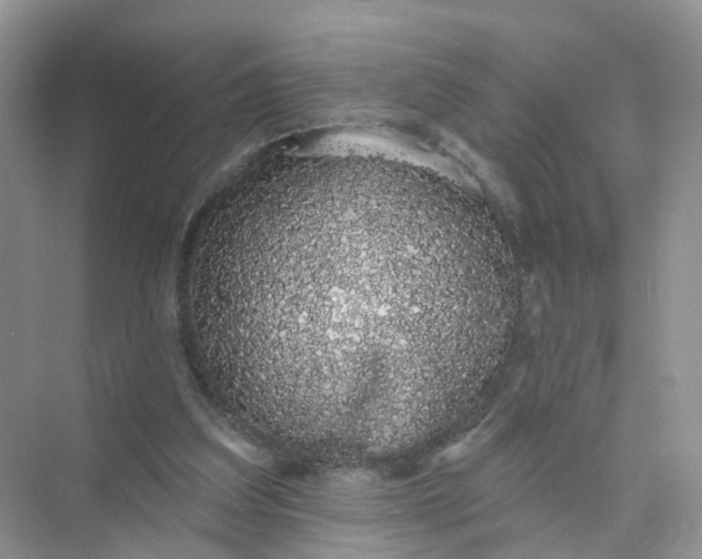 X0000073850203200608312009