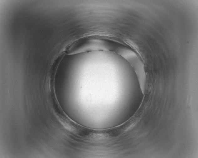 X0000073850205200608312009