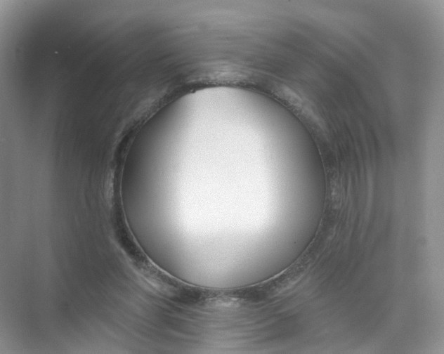 X0000073850206200608312009