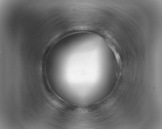 X0000073850207200608312009