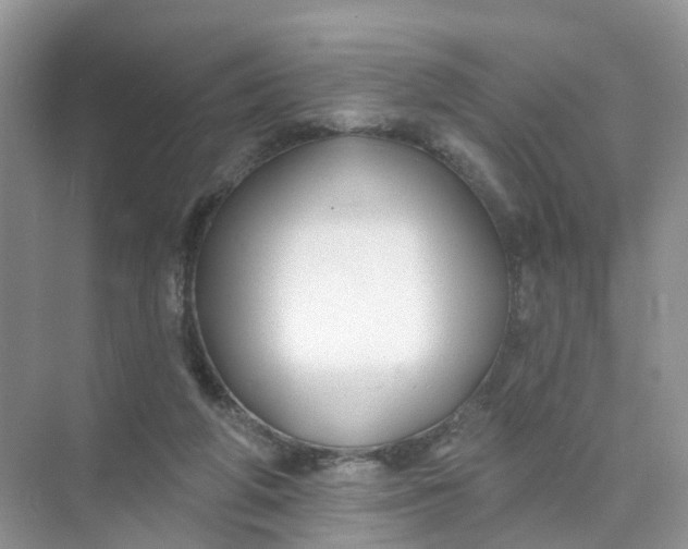 X0000073850210200608312009