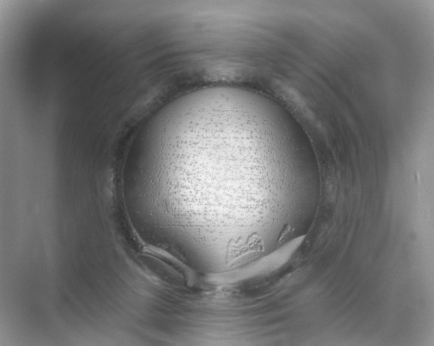 X0000073850211200608312009