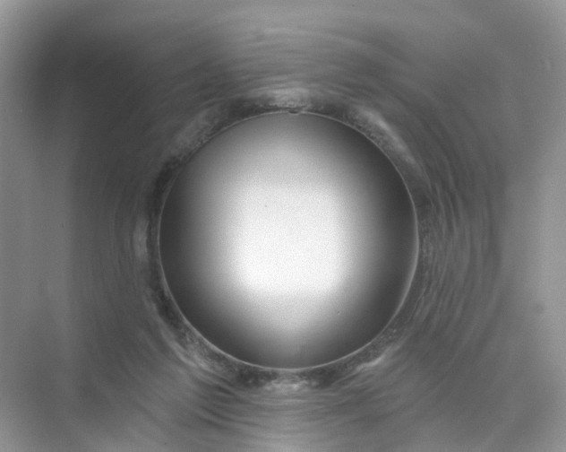 X0000073850213200608312009