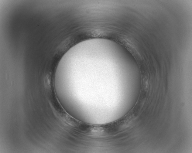 X0000073850214200608312009