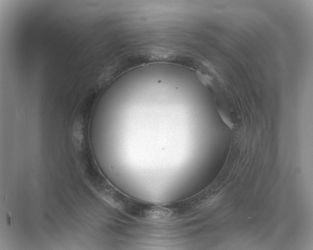 X0000073850215200608312009