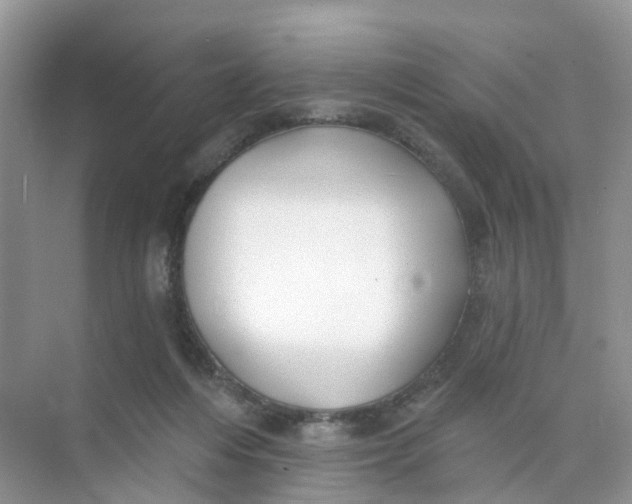 X0000073850216200608312009