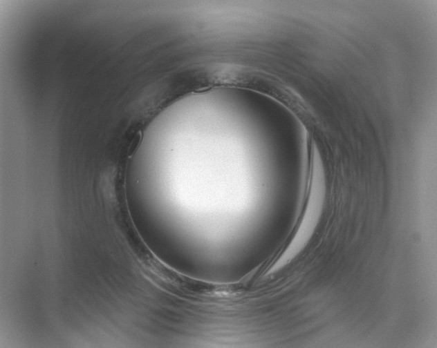 X0000073850217200608312009