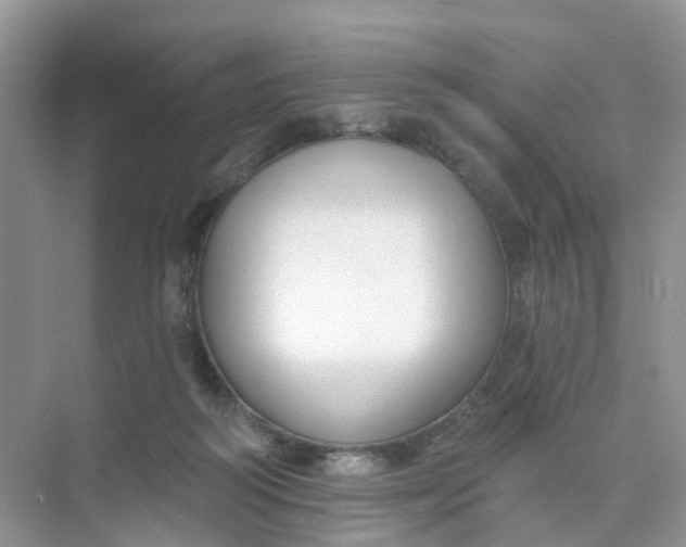 X0000073850218200608312009